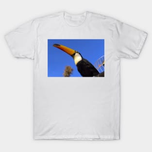 hornbill T-Shirt